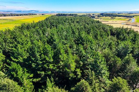 Photo of property in 80 Bay View Road, Woodend, Invercargill, 9877