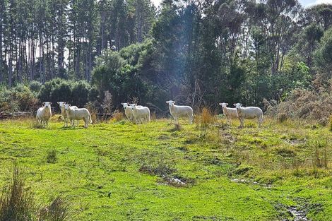 Photo of property in 3615 Horeke Road, Taheke, Kaikohe, 0473