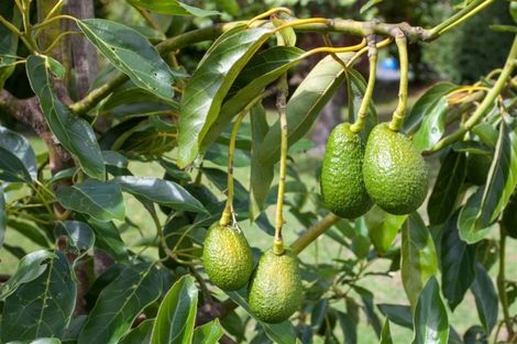 Photo of property in 1b Governors Heights, Whangamata, 3620