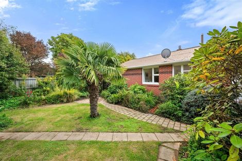 Photo of property in 39 Rountree Street, Upper Riccarton, Christchurch, 8041