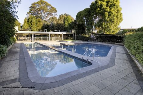 Photo of property in 20 Jarrah Park Drive, Pyes Pa, Tauranga, 3112