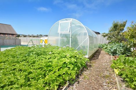 Photo of property in 36 Friendship Drive, Waldronville, Dunedin, 9018