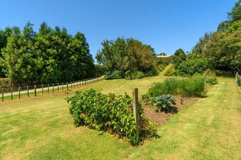 Photo of property in 29 Whakamarama Road, Whakamarama, Tauranga, 3179
