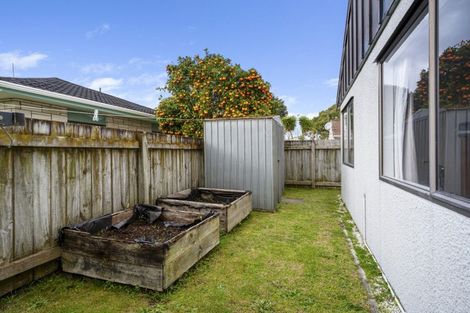 Photo of property in 2c Kaniere Street, Mount Maunganui, 3116