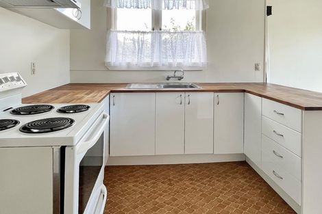 Photo of property in 63 Scannell Street, Taupo, 3330