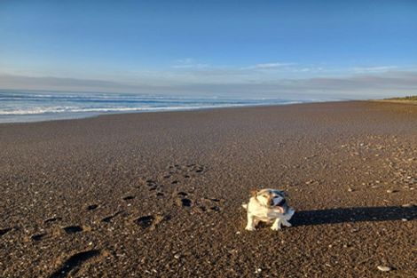 Photo of property in 150 Kings Road, Leithfield, 7481