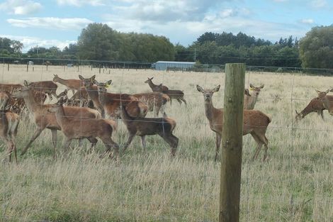 Photo of property in 43 Makybe Terrace, Lincoln, 7608