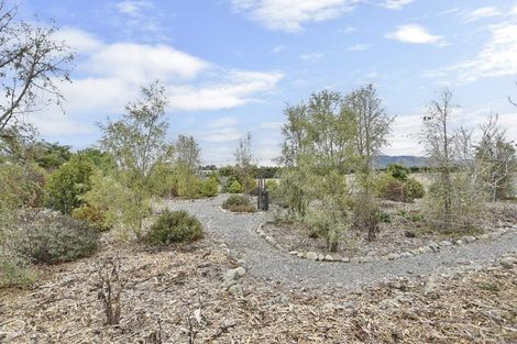 Photo of property in 295 Innes Road, Glasnevin, Amberley, 7482