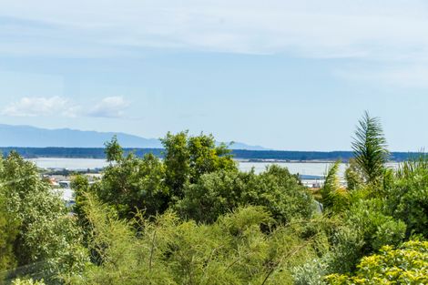 Photo of property in 12 Farnham Drive, Richmond, 7020