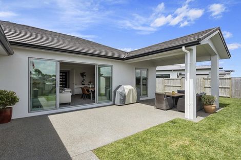 Photo of property in 9 Santiago Place, Flagstaff, Hamilton, 3210