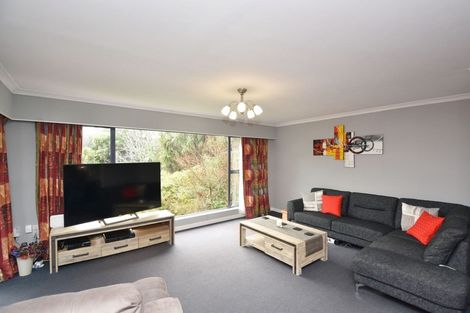 Photo of property in 113 Marama Avenue North, Otatara, Invercargill, 9879