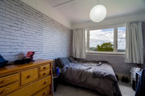 Photo of property in 3 Littlebourne Road, Roslyn, Dunedin, 9010