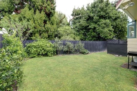 Photo of property in 63 Rimu Street, Maeroa, Hamilton, 3200