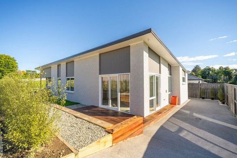 Photo of property in 47a Western Avenue, Omokoroa, 3114