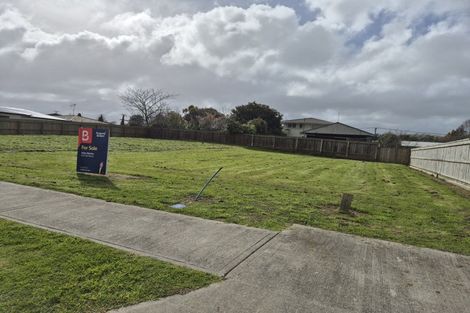 Photo of property in 9 Rayner Lane, Marton, 4710