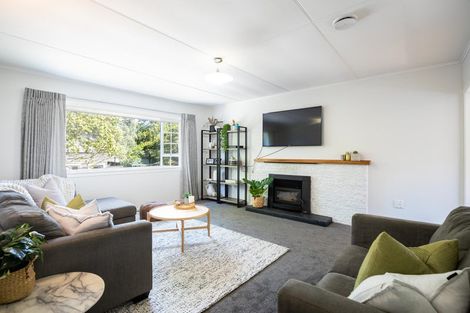Photo of property in 43 Essex Street, Vogeltown, New Plymouth, 4310