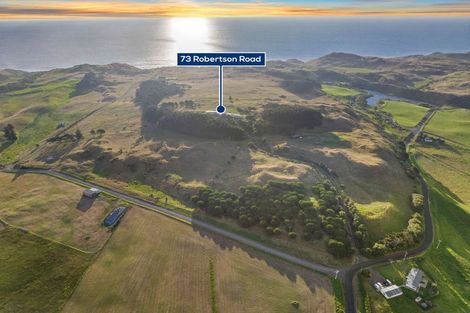 Photo of property in 73 Robertson Road, Otaua, Waiuku, 2682