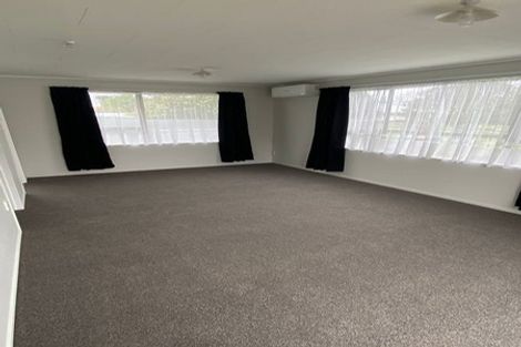Photo of property in 113 Featherston Street, Palmerston North, 4410