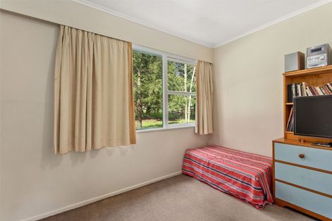 Photo of property in 674 White Pine Bush Road, White Pine Bush, Whakatane, 3191