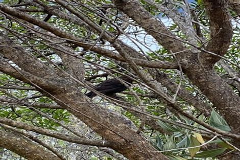 Photo of property in 276 Marine Drive, Charteris Bay, Governors Bay, 8971