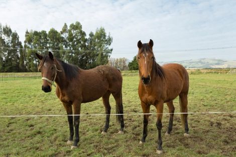 Photo of property in 22 Dukes Road North, Mosgiel, 9092