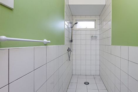 Photo of property in 4 Niger Street, Grey Lynn, Auckland, 1021