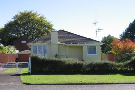 Photo of property in 14 Fitzherbert Street, Putaruru, 3411