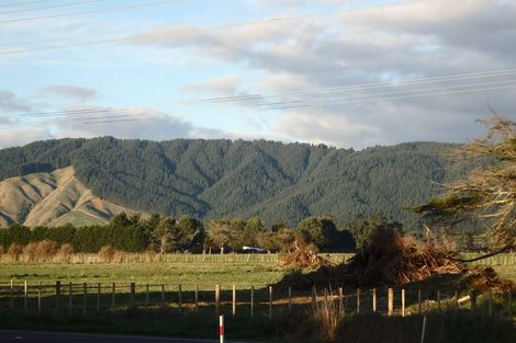 Photo of property in 1a Strathmore Avenue, Levin, 5510