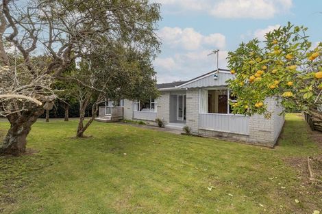 Photo of property in 120 Alexander Road, Raumati Beach, Paraparaumu, 5032