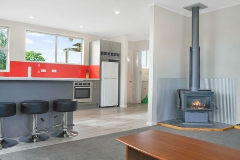 Photo of property in 47 Maryburn Road, Twizel, 7901