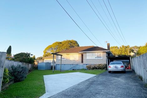Photo of property in 43 Blease Street, New Lynn, Auckland, 0600