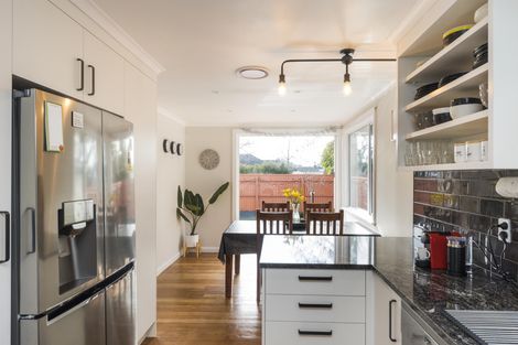 Photo of property in 380 Ruahine Street, Terrace End, Palmerston North, 4410