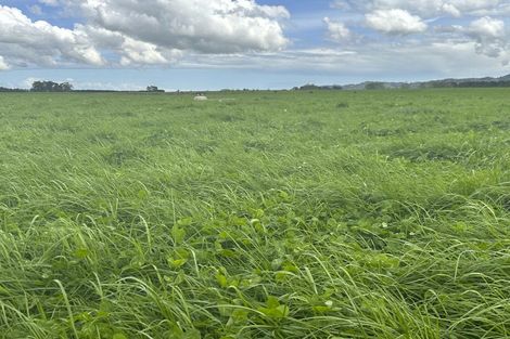 Photo of property in 44 Royal St Annes Drive, Te Kamo, 0112