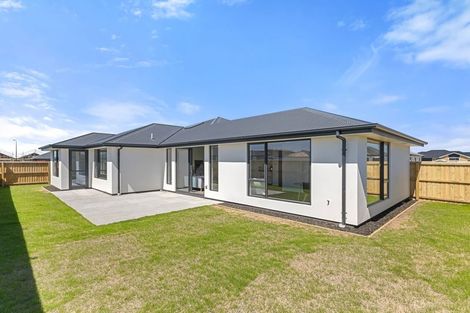 Photo of property in 38 Kestrel Street, Rolleston, 7615