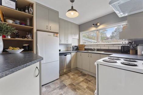 Photo of property in 17 Hobson Street, Levin, 5510