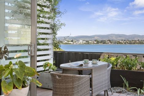 Photo of property in 62a Milton Road, Otumoetai, Tauranga, 3110