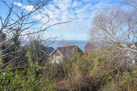 Photo of property in 37 Aberdeen Road, Saint Clair, Dunedin, 9012