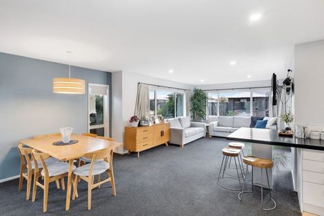 Photo of property in 16 Chimera Street, Pegasus, 7612