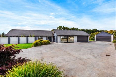 Photo of property in 10 Brighton Grove, Newstead, Hamilton, 3286