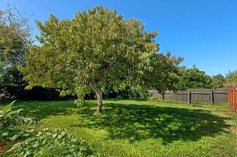 Photo of property in 35 Lyndhurst Street, Awapuni, Gisborne, 4010