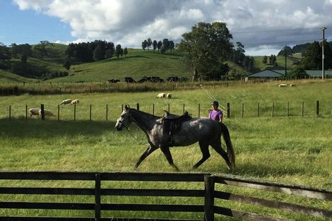 Photo of property in 505 Golden Valley Road, Waihi, 3681