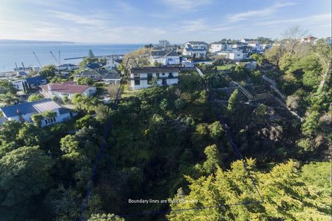 Photo of property in 131 Thompson Road, Bluff Hill, Napier, 4110