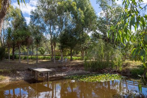 Photo of property in 2249d Te Wharau Road, Te Wharau, Masterton, 5883