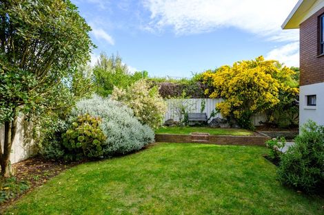 Photo of property in 66 Highcliff Road, Andersons Bay, Dunedin, 9013