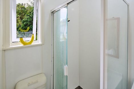 Photo of property in 21 Adams Terrace, Aro Valley, Wellington, 6021