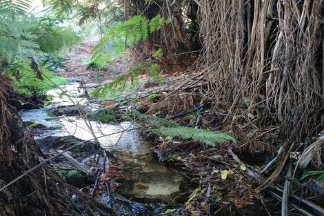 Photo of property in 405c Rowe Road, Ohauiti, Tauranga, 3173