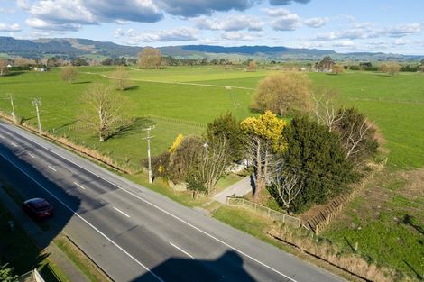 Photo of property in 3985 State Highway 29, Te Poi, Matamata, 3473