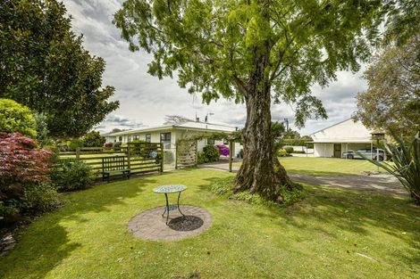 Photo of property in 52 Napier Street, Jervoistown, Napier, 4112