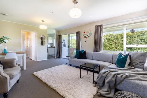 Photo of property in 48 Long Drive, Saint Heliers, Auckland, 1071