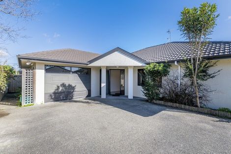 Photo of property in 91a Queen Street West, Levin, 5510